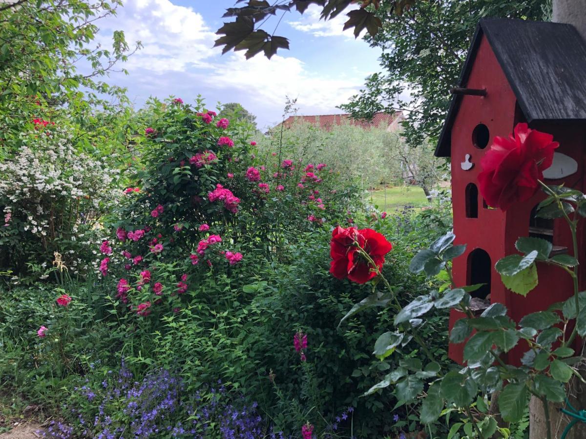 Apartmani Dubasnica Malinska Dış mekan fotoğraf