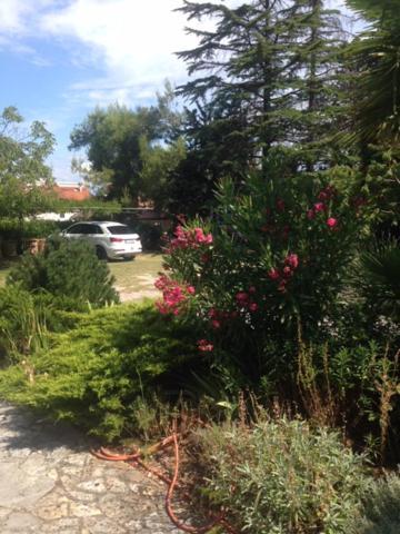 Apartmani Dubasnica Malinska Dış mekan fotoğraf